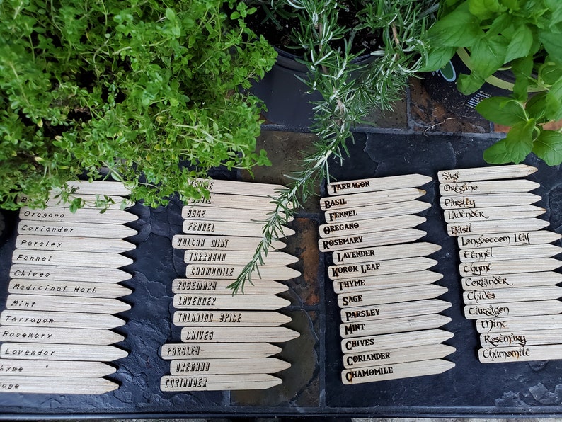 Nerdy Garden Label Stakes Herb Set 14 Count Halfling Script Etsy