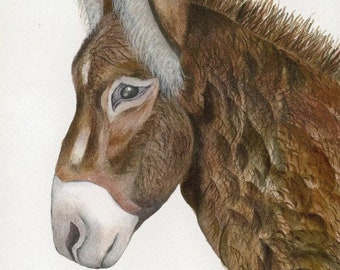 Jacquie Donkey Watercolor Print Card | Animal Lovers Greeting Card (4" x 6")