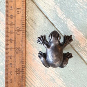 May include: A silver-toned metal frog figurine with a textured finish. The frog is sitting on a light blue wooden surface.