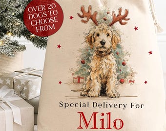 Calendrier De L'Avent Labrador Noël - 24 Décorations En Acrylique 2D - Compte à Rebours 24 Jours - Cadeau Pour Amoureux Des Chiens - 10