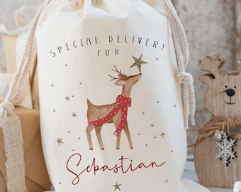 May include: A cream-colored fabric drawstring gift bag featuring a printed illustration of a brown reindeer wearing a red scarf, reaching for a gold star. The text reads SPECIAL DELIVERY FOR Sebastian in black and red lettering with small gold stars.