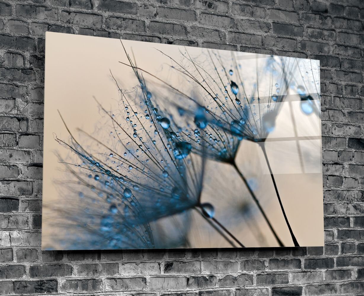 Printed Glass Wall Art