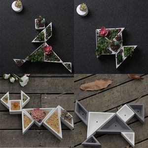 Może przedstawiać: Zestaw geometrycznych doniczek betonowych w kolorze białym i szarym, ułożonych w różnych konfiguracjach. Doniczki są wypełnione małymi sukulentami i innymi roślinami.