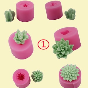 3D Sukkulente Pflanzen Silikonform für Kerze Seife Fondant Schokoladenherstellung Kuchen Dekorationsform Aromatherapie Gips UV Epoxy Resin Form,G382