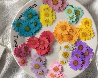 May include: Assortment of pressed dried flowers in various colors, including blue, yellow, orange, pink, red, white, and purple. The flowers are arranged on a white plate.