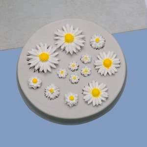 May include: A white silicone mold with 11 daisy-shaped cavities. The mold is designed for making fondant or gum paste decorations.