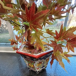 May include: A ceramic planter with a colorful floral design and a red rim. The planter is filled with a faux maple tree with red and yellow leaves.