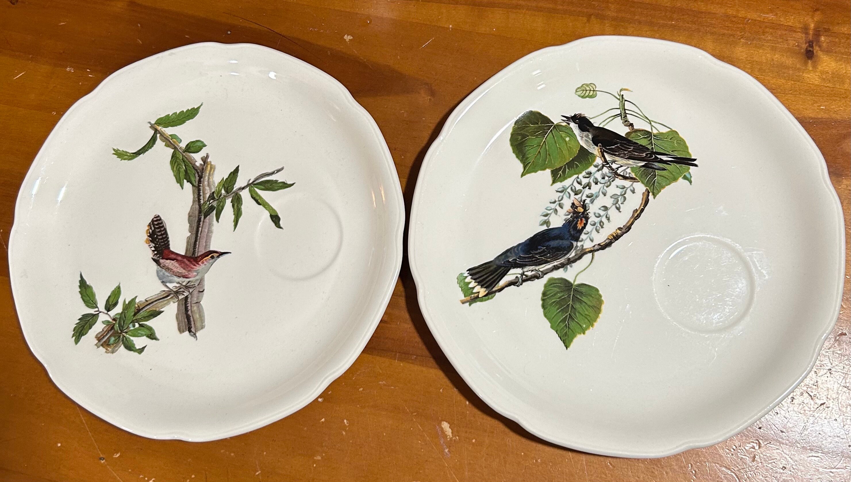 Meakin Audubon Plate - Etsy