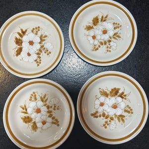 Replacement Oven to Table microwave and dishwasher safe Mountain Wood Collection  “dried  flowers”, Four aprox 6 1/4” salad/dessert plates.