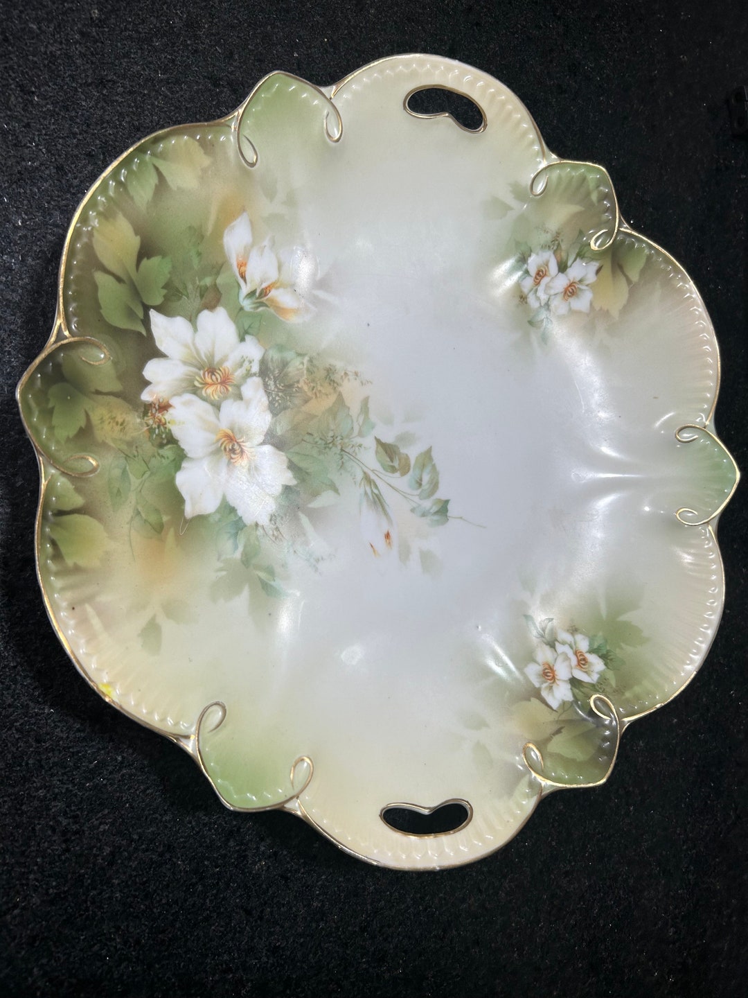 1910s Prussia Germany Schumann Arzberg Bavaria Porcelain Wild Rose Cake ...