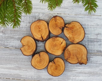 8 Naturholzscheiben, 3,7 - 5,4 cm große Naturholzbaumscheiben, Holzscheiben zum Basteln, Bastelzweigscheiben