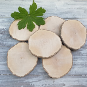 6 wood slices,  2.9&quot;-  3.2&quot;  (7.8 - 8.2 cm) natural wood tree slices, Wood Slices for Crafts, Craft Branch Slices
