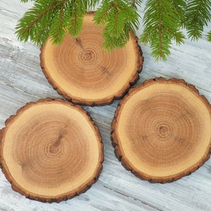 2 Natural Wood slices with bark,  4.8&quot;-  5.1&quot;  (12.2 - 13.2 cm) oak wood slice, Wood wedding centerpiece