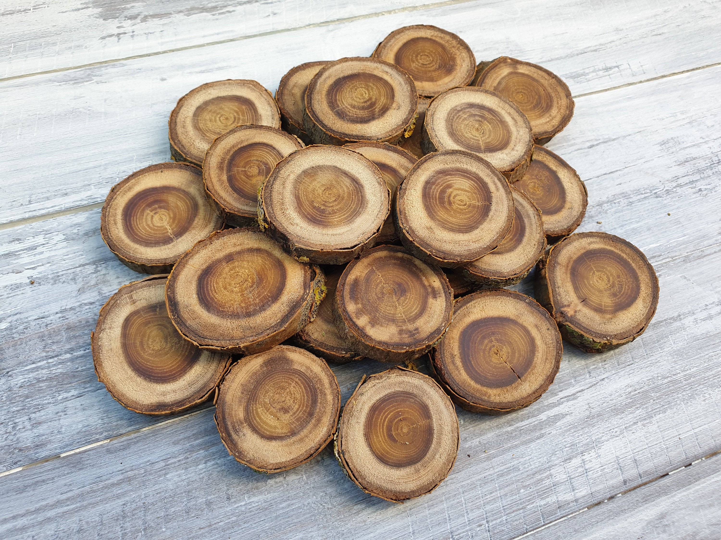 3 Pcs 10-12 Inch Wood Slices for Centerpieces, Wood Rounds for Wedding  Centerpiece, DIY Projects, Painting, Etc 