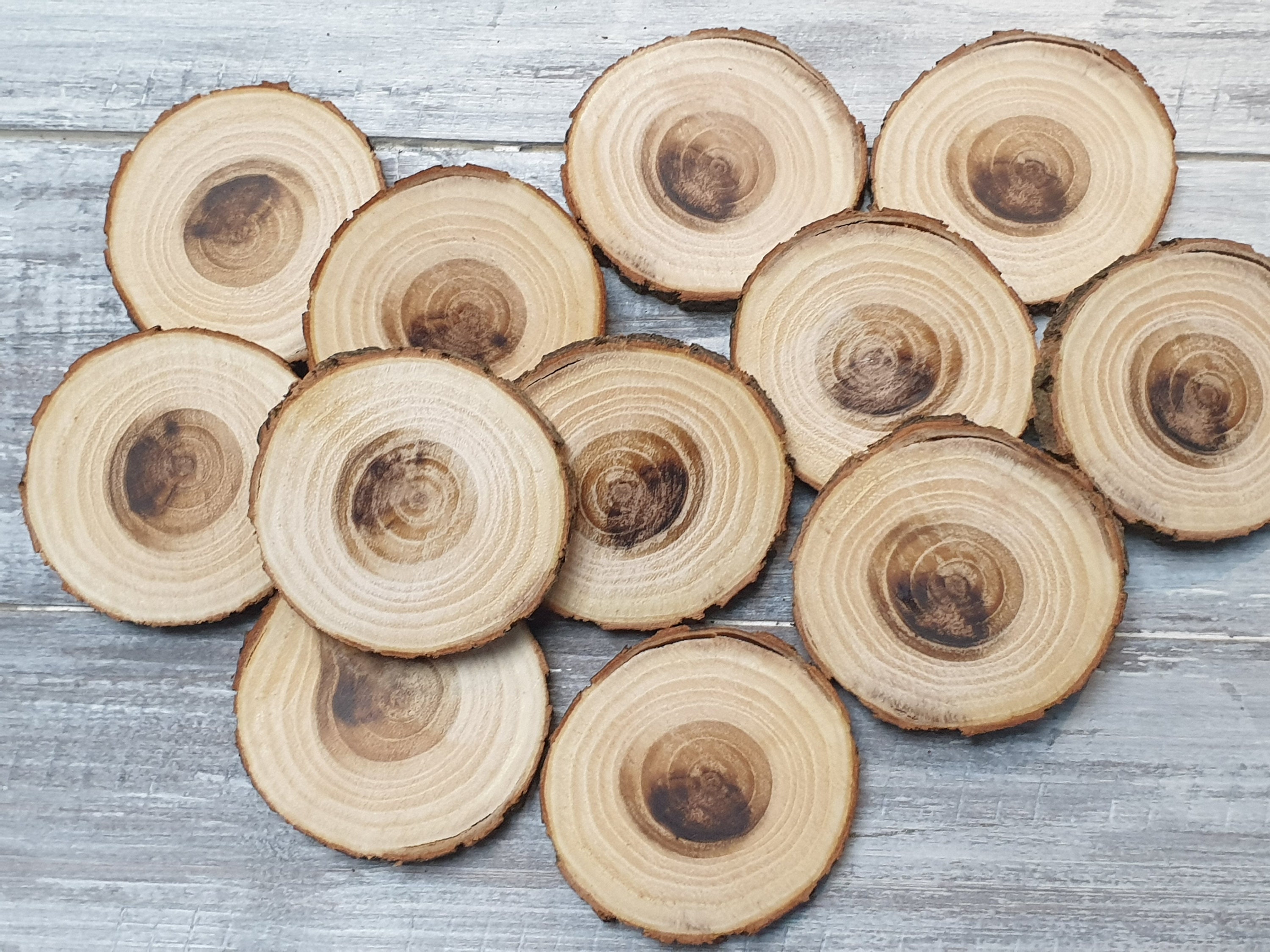 12 Wooden Slices, 2 2.1 5 5.4 Cm Tree Slices, Small Wood Slices for Crafts,  Craft Branch Slices 