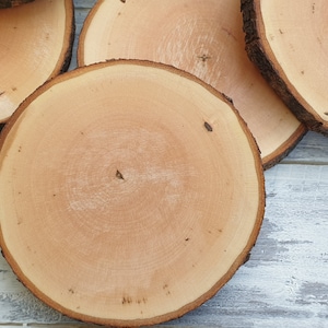 Natural tree round slices, 4&quot;- 4.3&quot; (10.4 - 10.8 cm) natural wood tree slices, wooden coasters, Wood Slices for Crafts, Craft Branch Slices