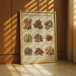 May include: A framed wall art print titled A Field Guide to Spices, featuring detailed illustrations of cinnamon sticks, star anise, nutmeg, cardamom pods, cloves, saffron threads, peppercorns, dried chillies, and turmeric root with labels.
