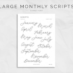 Puede incluir: Una hoja de pegatinas transparentes con los meses del año escritos en una fuente de letra cursiva. El texto dice "SCRIPTS MONTHLY SUNNY FONT January March April February May June July August October September November December PAPER DAZED"