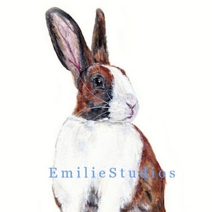Dutch Tortoise Rabbit Watercolor Art Print