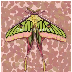 Hybrid Moon Moth Digital Art Print | Spanish x Chinese Moon Moth