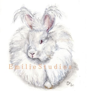 Giant Angora Rabbit Watercolor Print