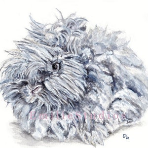 English Angora Chinchilla Rabbit Watercolor Print