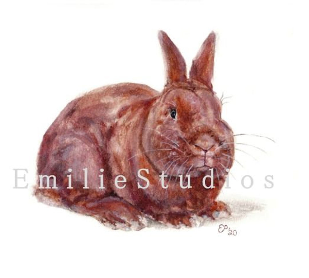 Thrianta Rabbit Watercolor Print - Etsy