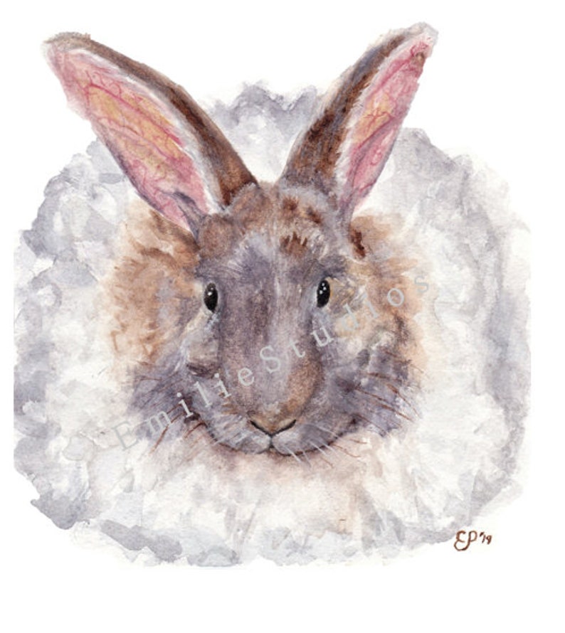 Angora Watercolors