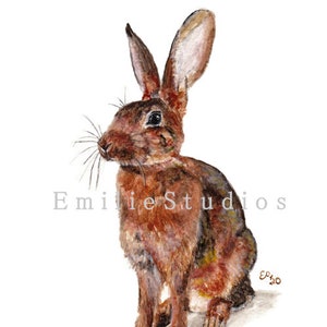 Belgian Hare Watercolor Print