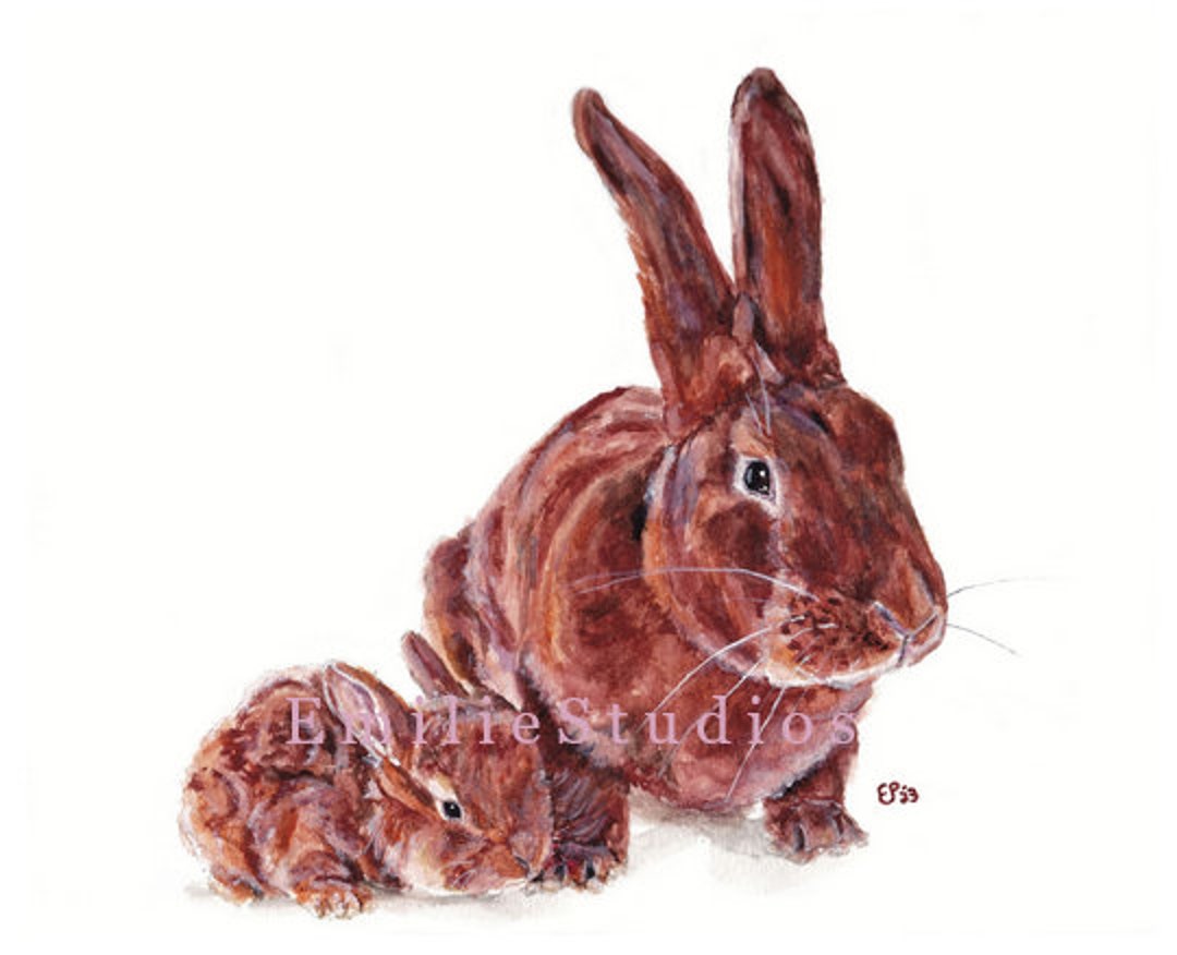 Fauve de Bourgogne Lapin et bébé aquarelle imprimé Cadeau de lapin Art