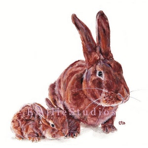 Fauve de Bourgogne Coniglio e bambino Stampa ad acquerello / Regalo di coniglietto / Ritratto di animale domestico Arte murale / Amante degli animali / Decorazione per la cameretta dei bambini