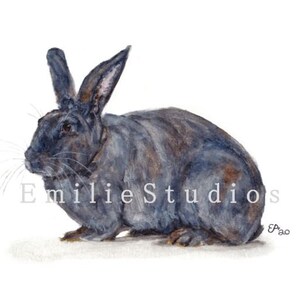 Beveren Rabbit Watercolor Print