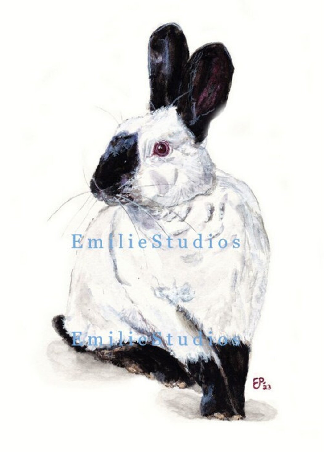 Himalayan Standing Rabbit Watercolor Print - Etsy
