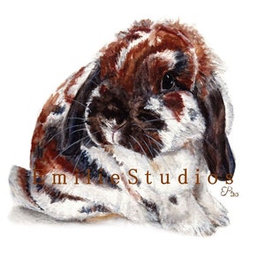 Holland Lop Watercolor Print- Broken Tort