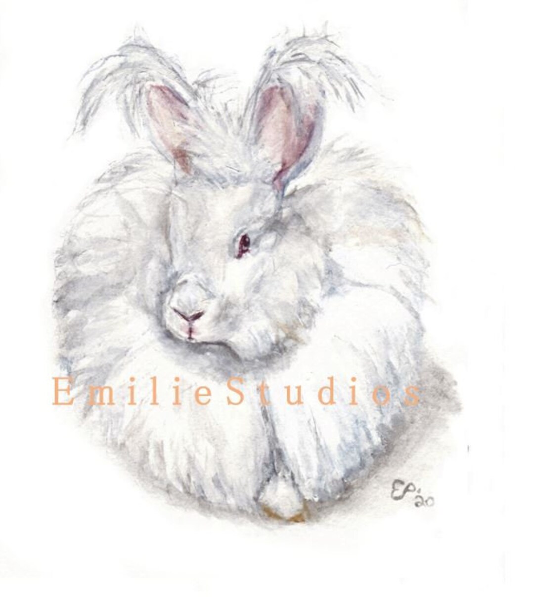 Giant Angora Rabbit Watercolor Print - Etsy