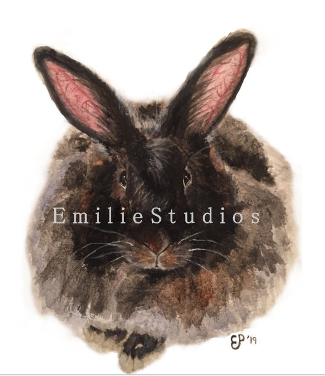 Satin Angora Rabbit Watercolor Print - Etsy