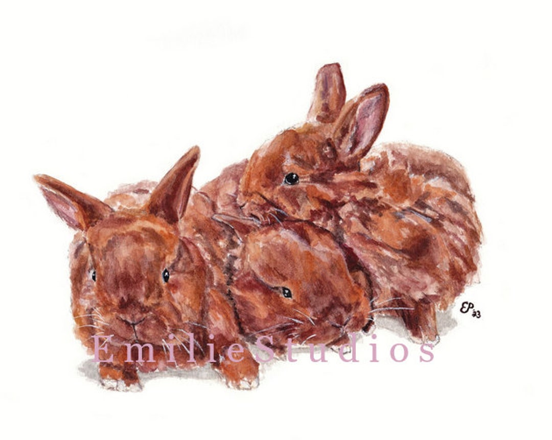 Thrianta Triplets Rabbit Watercolor Print - Etsy