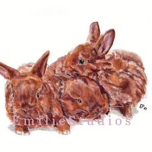 Thrianta Triplets Rabbit Watercolor Print