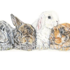 Aquarel print Holland Lops konijn | Cadeau konijn | Muurkunst huisdierportret |  Dierenliefhebber | Decoratie: