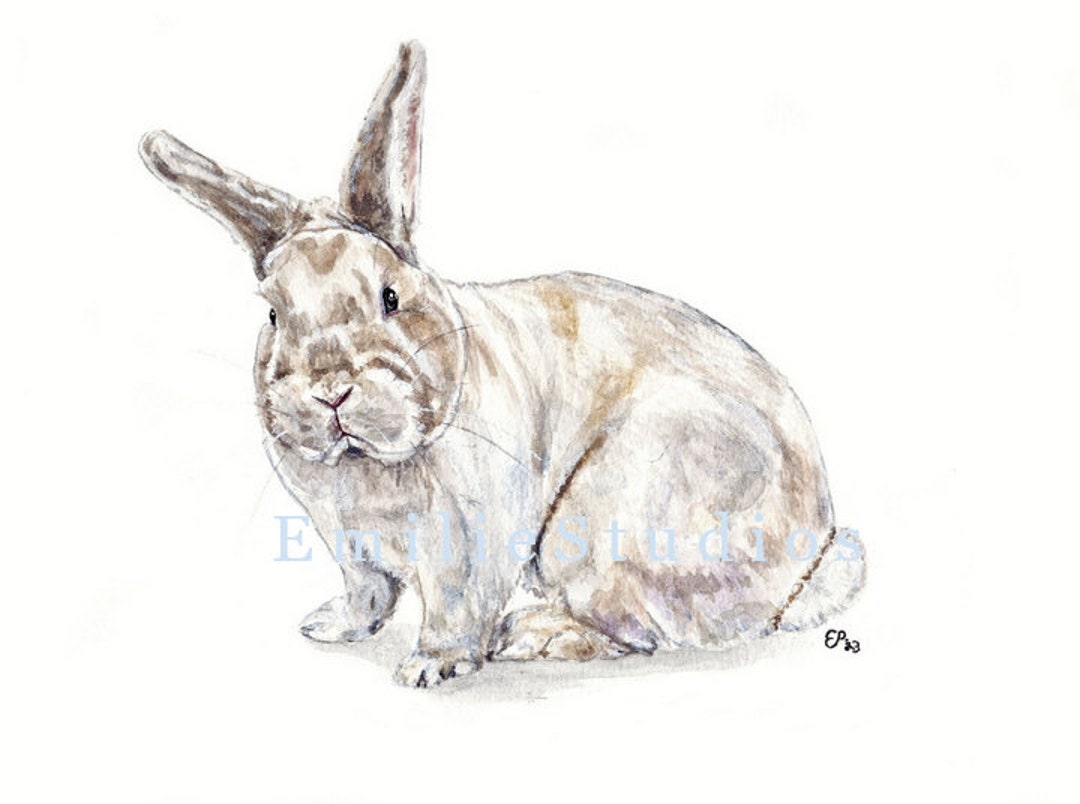 Czech Frosty Rabbit Watercolor Print - Etsy