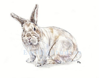 Czech Frosty Rabbit Watercolor Print