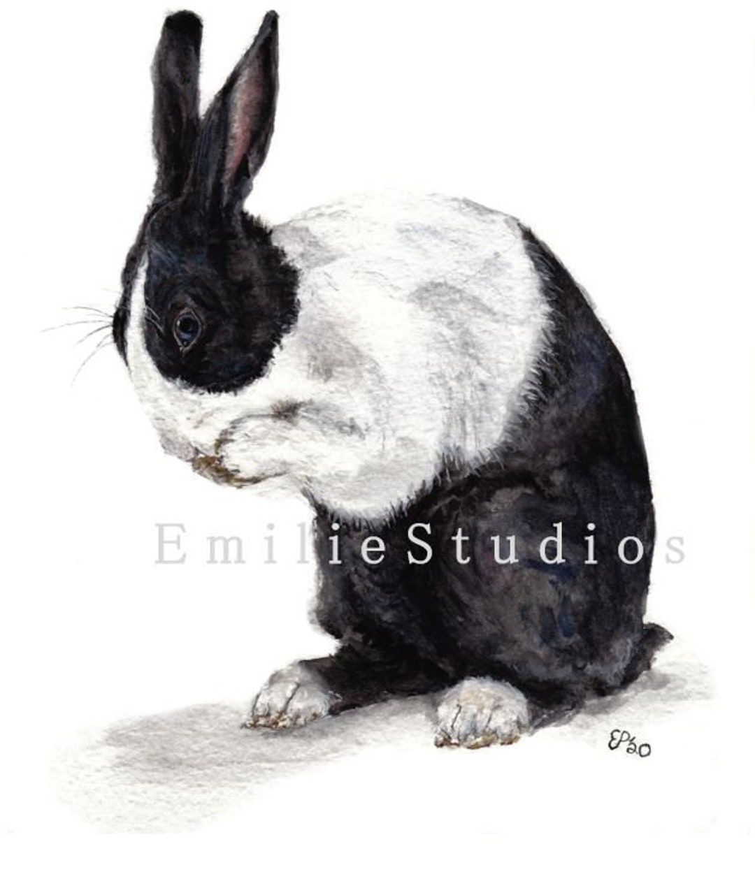 Dutch Rabbit Watercolor Print | Bunny Gift | Pet Portrait Wall Art ...