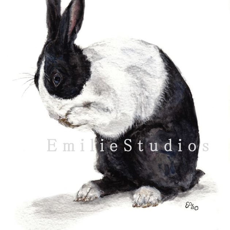 Dutch Bunny - Etsy