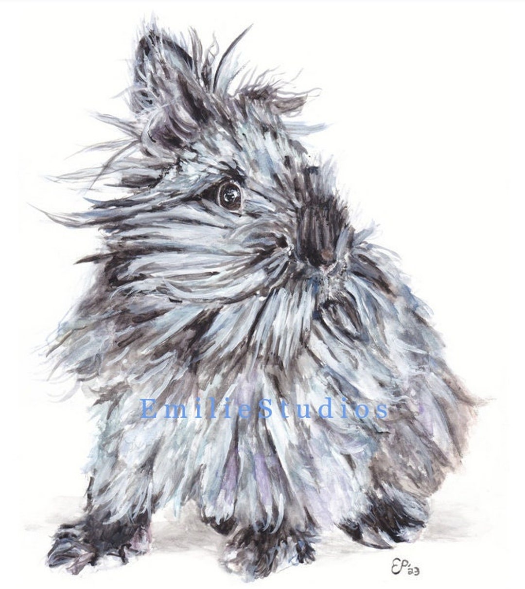 Lionhead Black Watercolor Rabbit Art Print - Etsy