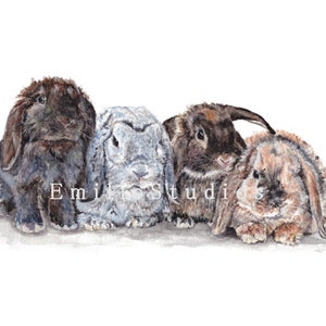Four Holland Lops