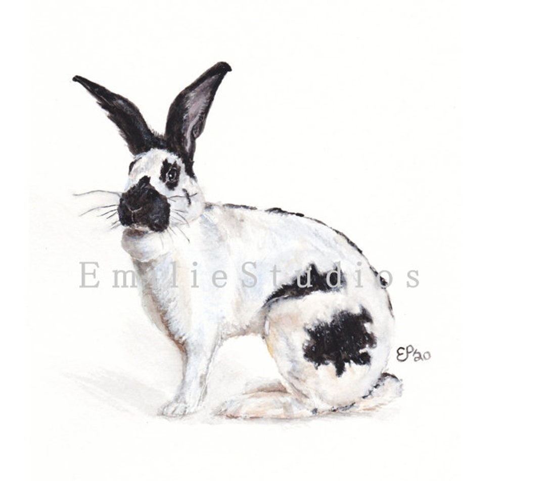Checkered Giant Rabbit Watercolor Print | Bunny Gift | Pet Portrait ...