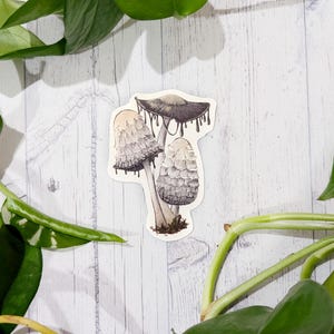 Inkcap mushroom handrawn vinyl sticker decal for laptop or water bottle