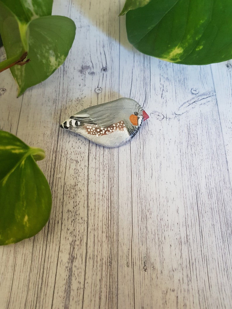 Polymer clay zebra finch bird handpainted pin brooch. Etsy