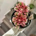 see more listings in the Succulent section