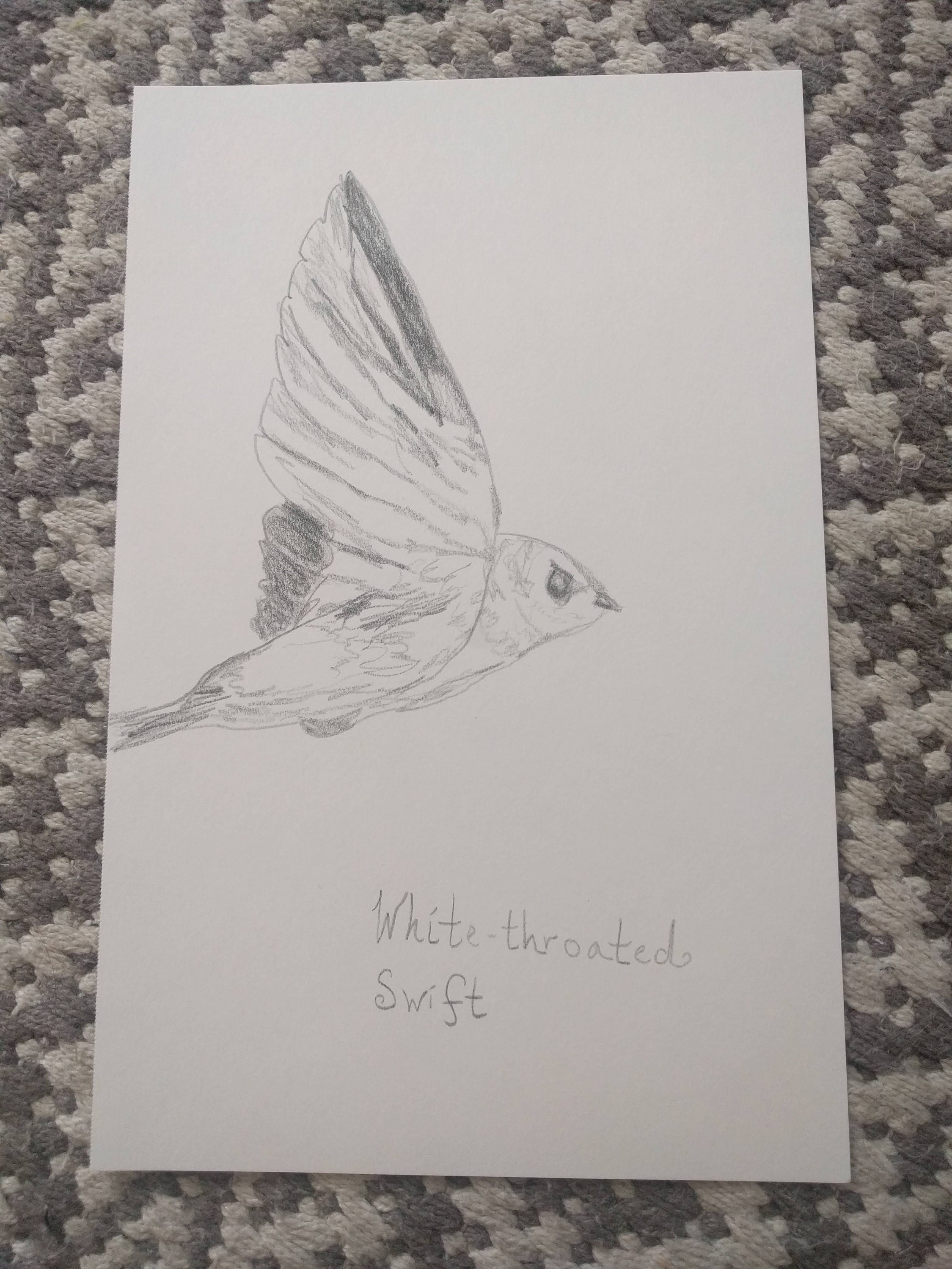  Drawing in colored pencil Etsy